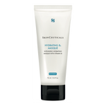 Hydrating B5 Masque