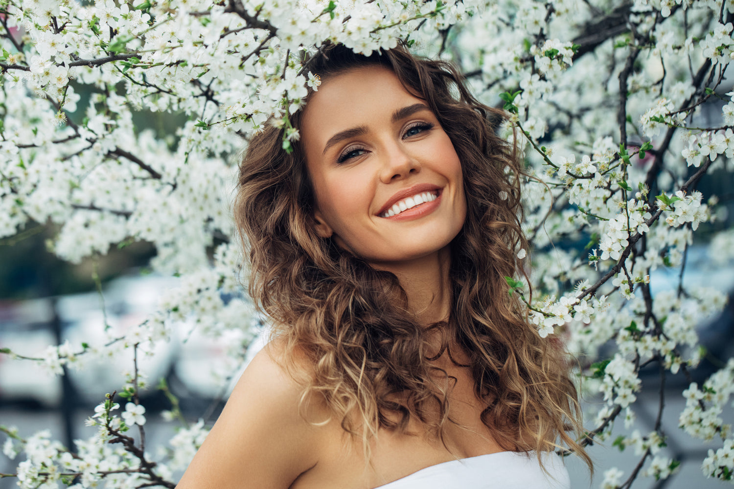 Venus Viva, IPL and PRP